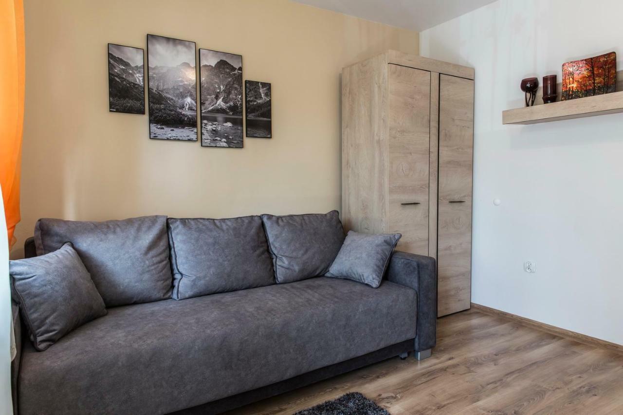 זקופאנה Zakopianski Apartament מראה חיצוני תמונה